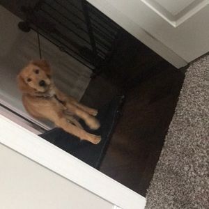 Meet your Posher, Adit